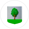 Armarria