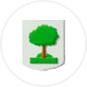 Armarria