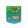 Armarria