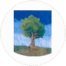 Armarria